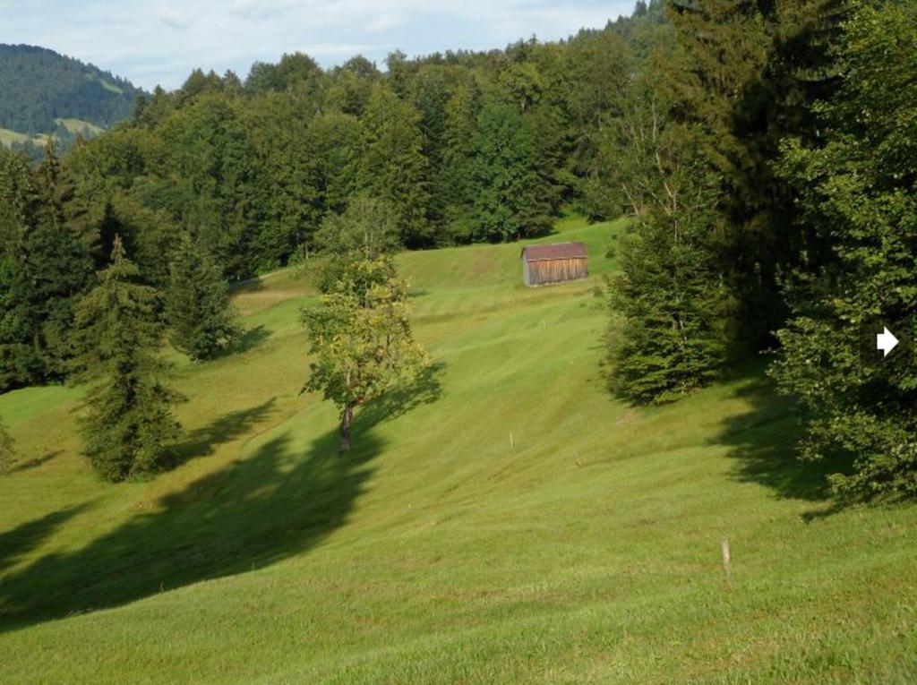 Berghof Voeglerbrand Villa Andelsbuch Exterior foto