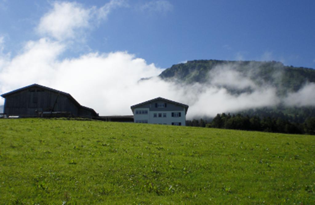 Berghof Voeglerbrand Villa Andelsbuch Exterior foto